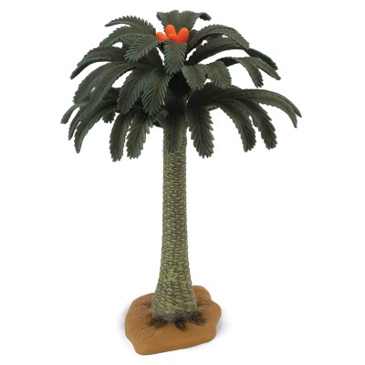 Copac cycad collecta