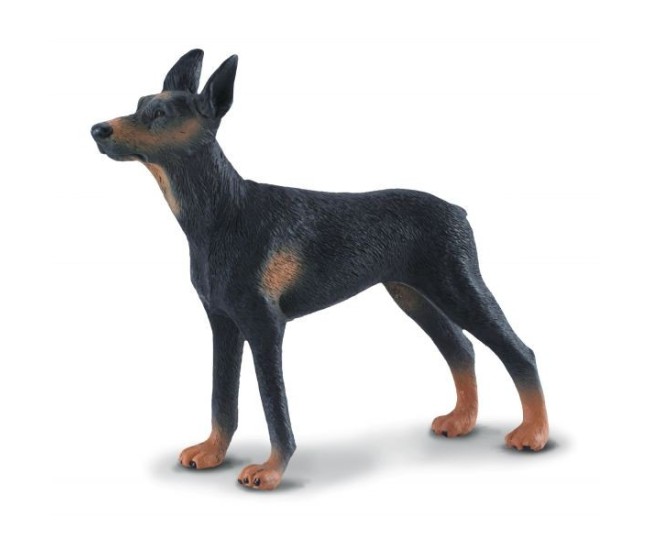 Figurina pictata manual caine doberman pinscher Figurina pictata manual caine doberman pinscher