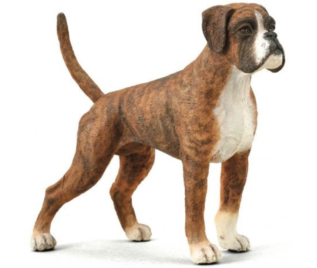 Figurina pictata manual caine boxer Figurina pictata manual caine boxer