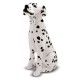 Catel dalmatian din plus Catel dalmatian din plus
