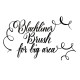 Blackliner Brush Molotow black Blackliner Brush Molotow black
