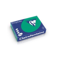 Carton A4 160 g/mp color intens 250 file/top Clairefontaine