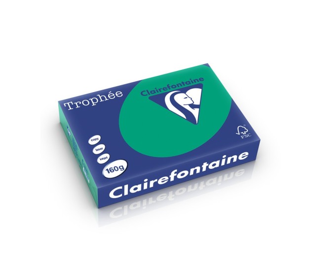 Carton A4 160 g/mp color intens 250 file/top Clairefontaine Carton A4 160 g/mp color intens 250 file/top Clairefontaine