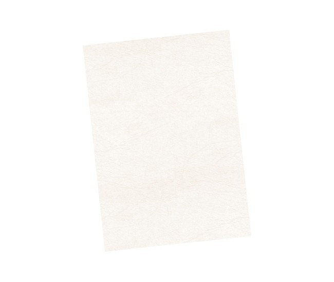 Coperta carton A4 imitatie piele 100/set