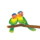 Creioane colorate triunghiulare + ascutitoare eco Faber-Castell 12 culori/set
