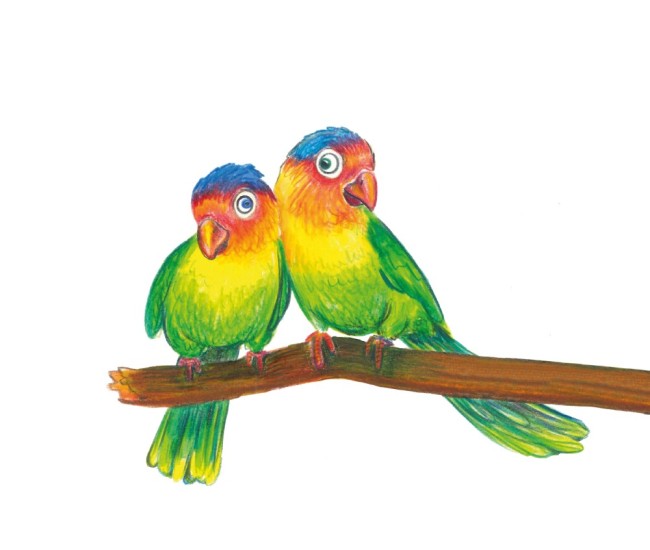 Creioane colorate triunghiulare + ascutitoare eco Faber-Castell 24 culori/set