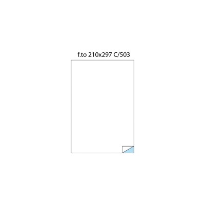 Etichete 1/A4 210 x 297 100/cutie