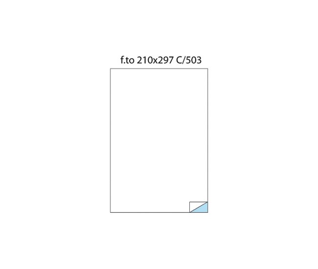 Etichete 1/A4 210 x 297 100/cutie
