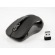 Mouse wireless Tellur Basic, regular, negru Mouse wireless Tellur Basic, regular, negru