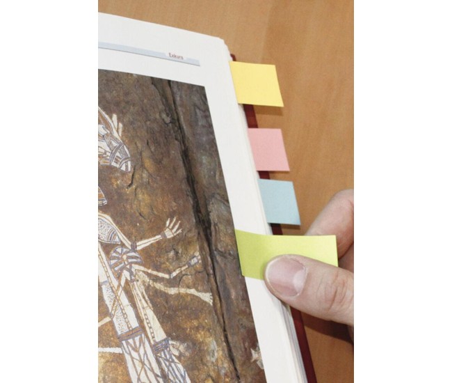 PageMarker reciclat 20 x 50 mm 160 file Nature Info Notes 4 culori/set