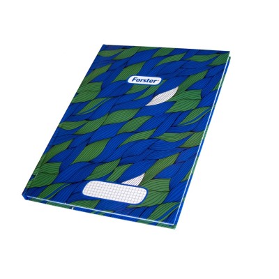 Registru A4 100 file Forster