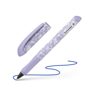 Roller Schneider Voice 2026