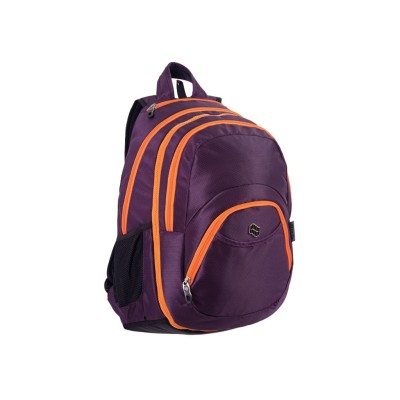 Ghiozdan Pulse 2 in 1 Violet