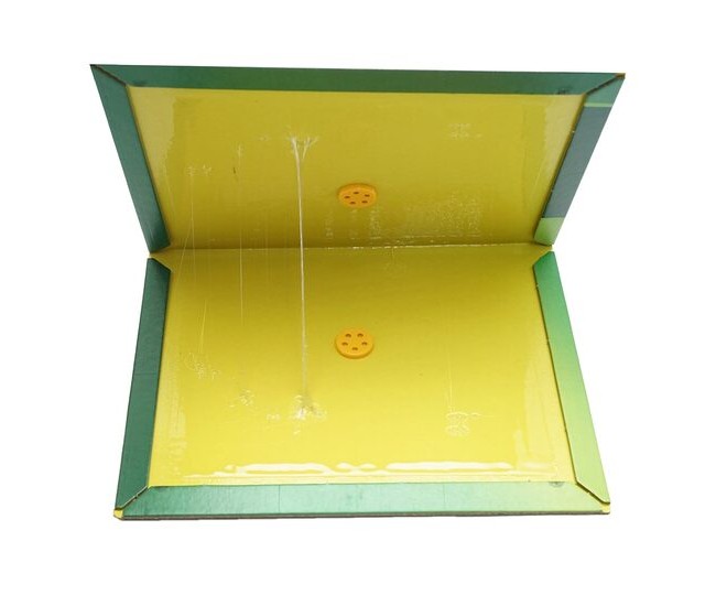 Capcana pentru soareci, cu lipici, tip carte, 31x21 cm Capcana pentru soareci, cu lipici, tip carte, 31x21 cm