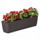 Jardiniera decorativa, Prosperplast, imitatie ratan, suport, maro, 49.2x17.2x17.4 cm Jardiniera decorativa, Prosperplast, imitatie ratan, suport, maro, 49.2x17.2x17.4 cm