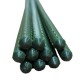 Suport/arac pentru plante, rosii, Strend Pro, metal + PVC, verde, 2x120 cm Suport/arac pentru plante, rosii, Strend Pro, metal + PVC, verde, 2x120 cm