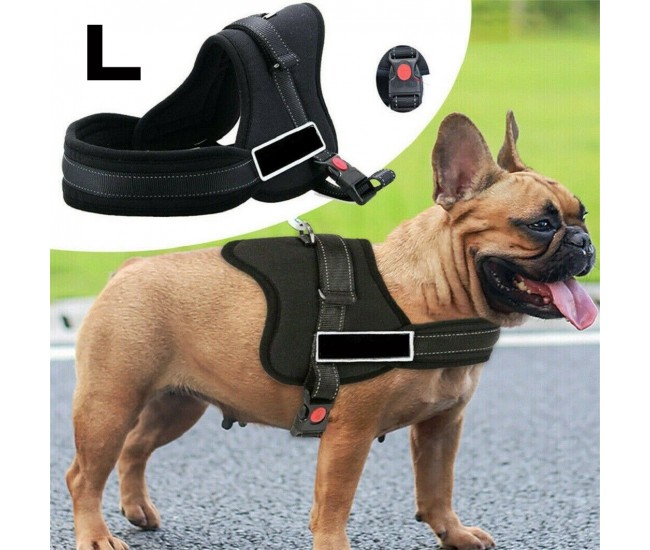 Ham pentru caini SENIOR DOG L (70 - 90cm)