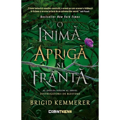 Distrugatorii De Blesteme Vol. 2 O Inima Apriga Si Franta - Brigid Kemmerer