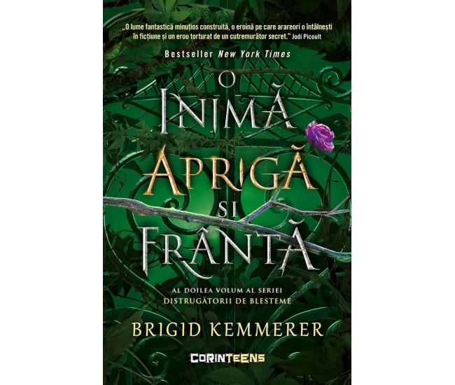 Distrugatorii De Blesteme Vol. 2 O Inima Apriga Si Franta - Brigid Kemmerer Distrugatorii De Blesteme Vol. 2 O Inima Apriga Si Franta - Brigid Kemmerer