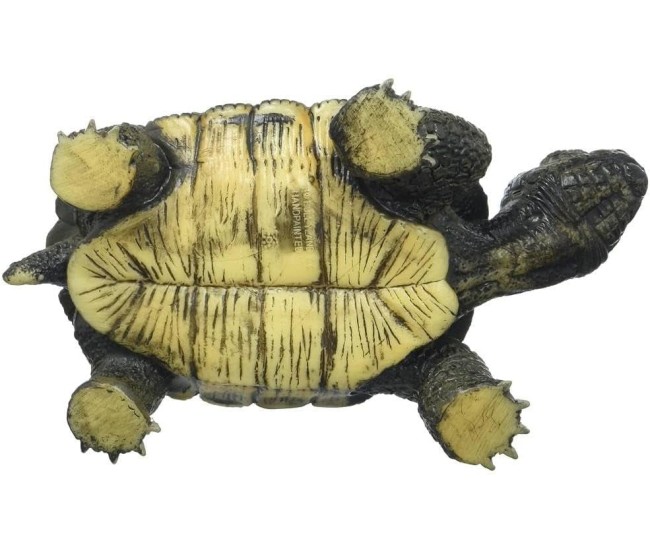 Figurina Broasca Testoasa - Jucarie Educativa, Animal Plastic, Design Realist Figurina Broasca Testoasa - Jucarie Educativa, Animal Plastic, Design Realist