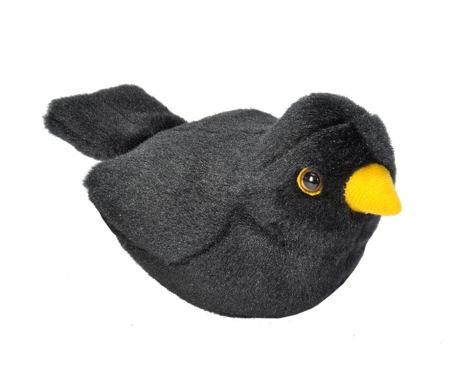 Pasare cu sunet Mierla - EUROPEAN BLACKBIRD Pasare cu sunet Mierla - EUROPEAN BLACKBIRD