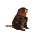 Castor - Jucarie Plus Wild Republic 30 cm Castor - Jucarie Plus Wild Republic 30 cm