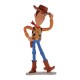 Figurina Woody, Toy Story 3 Figurina Woody, Toy Story 3