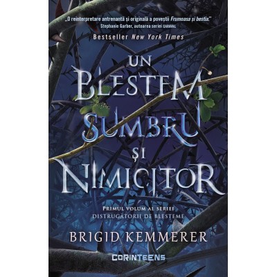 Distrugatorii De Blesteme Vol. 1 Un Blestem Sumbru Si Nimicitor - Brigid Kemmerer