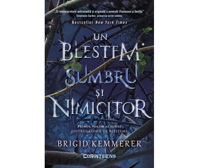 Distrugatorii De Blesteme Vol. 1 Un Blestem Sumbru Si Nimicitor - Brigid Kemmerer Distrugatorii De Blesteme Vol. 1 Un Blestem Sumbru Si Nimicitor - Brigid Kemmerer