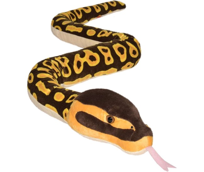 Sarpe Ball Python Sarpe Ball Python