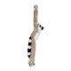 Maimuta care se agata Lemur Maimuta care se agata Lemur