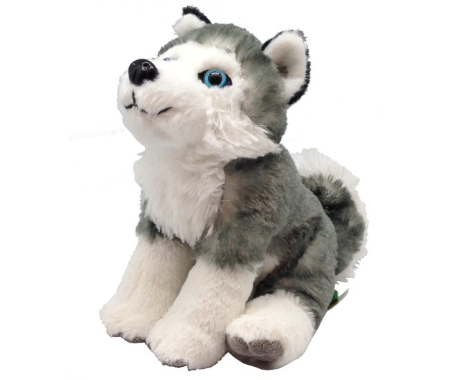 Catelus Husky - Jucarie Plus 20 cm
