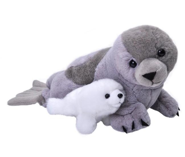Mama si Puiul - Foca