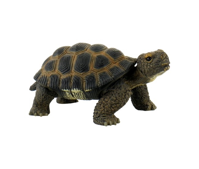 Figurina Broasca Testoasa - Jucarie Educativa, Animal Plastic, Design Realist Figurina Broasca Testoasa - Jucarie Educativa, Animal Plastic, Design Realist