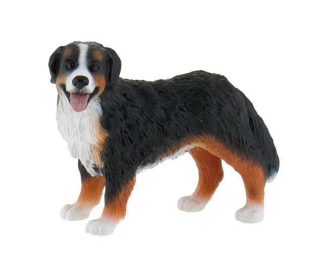 Caine Ciobanesc de Berna Caine Ciobanesc de Berna