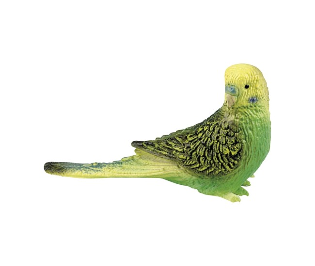 Figurina Papagal - Pasare Colarata, Jucarie Educativa Copii, Model Plastic Realist Figurina Papagal - Pasare Colarata, Jucarie Educativa Copii, Model Plastic Realist