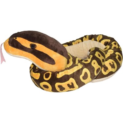 Sarpe Ball Python