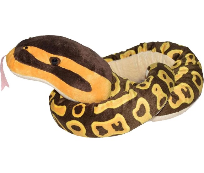 Sarpe Ball Python Sarpe Ball Python