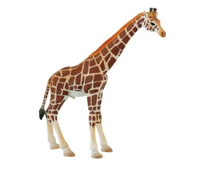 Girafa mascul - Figurina pentru copii Girafa mascul - Figurina pentru copii