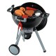 Gratar interactiv cu lumina si sunet Weber - Joc de rol Gratar interactiv cu lumina si sunet Weber - Joc de rol
