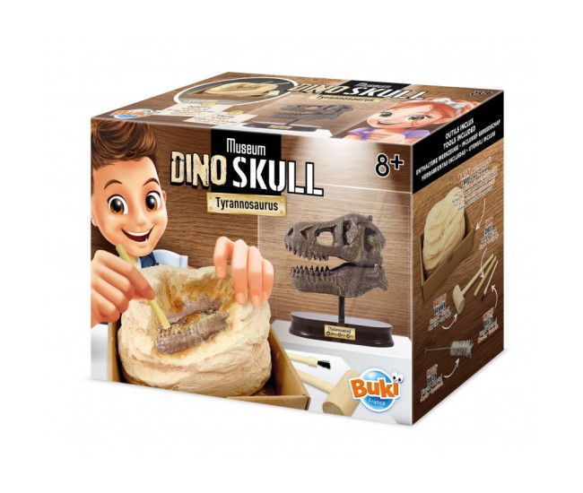 Kit de sapat - Craniu T-Rex de muzeu