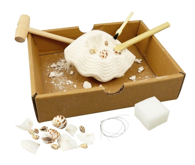 Kit de sapat - Descoperim si invatam despre Scoici Kit de sapat - Descoperim si invatam despre Scoici