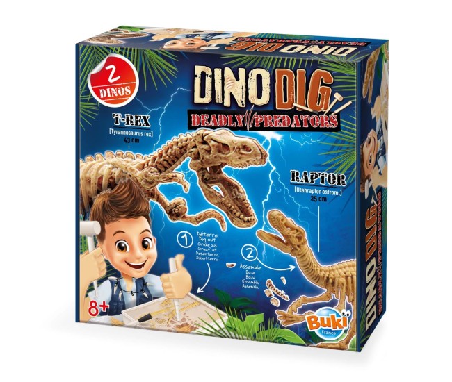 Kit de sapat - Dinozaur Kit de sapat - Dinozaur