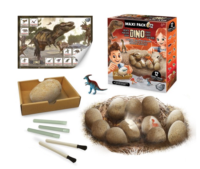 Oua Dino Mega Set 12 oua cu fosile Oua Dino Mega Set 12 oua cu fosile