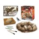 Oua Dino Mega Set 12 oua cu fosile Oua Dino Mega Set 12 oua cu fosile