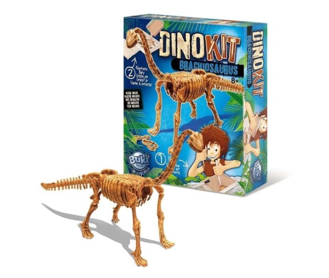 Paleontologie - Dino Kit - Brachiosaurus