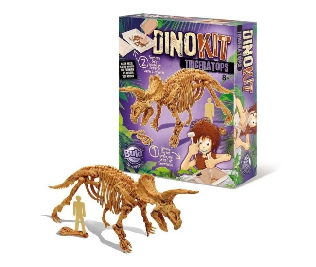 Paleontologie - Dino Kit - Triceratops Paleontologie - Dino Kit - Triceratops