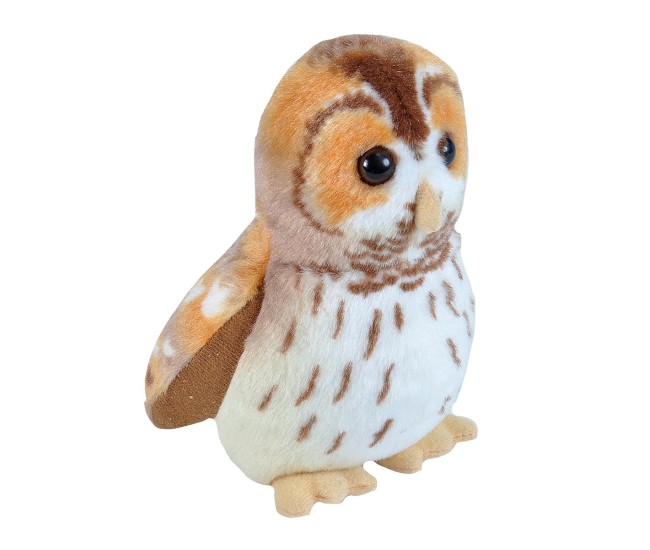 Pasare cu sunet Bufnita Bruna - TAWNY OWL Pasare cu sunet Bufnita Bruna - TAWNY OWL
