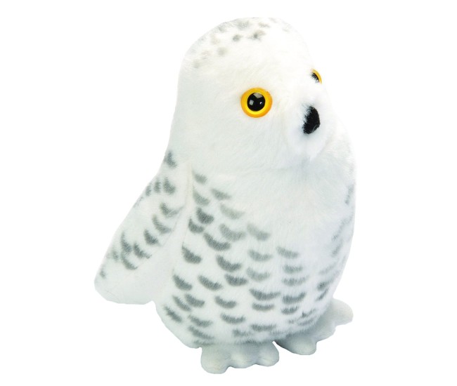 Pasare cu sunet Bufnita de Zapada - SNOWY OWL Pasare cu sunet Bufnita de Zapada - SNOWY OWL