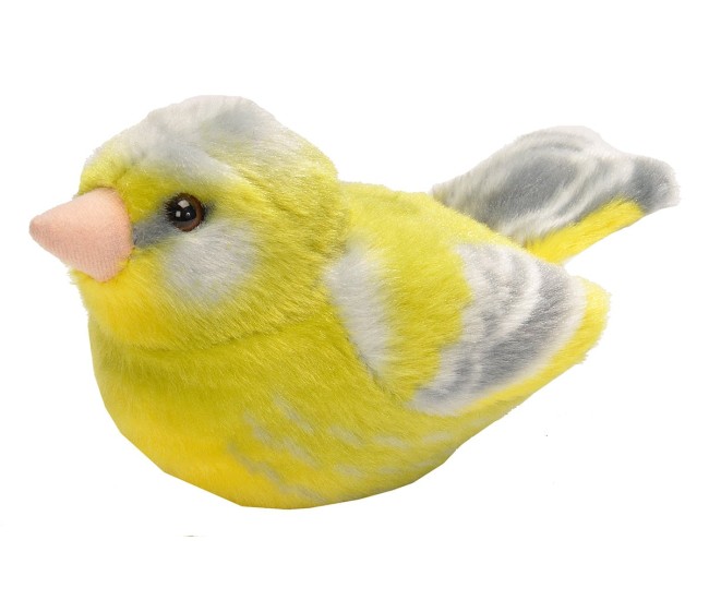 Pasare cu sunet Florinte - GREENFINCH Pasare cu sunet Florinte - GREENFINCH